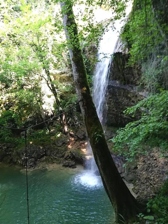 Villa Rustica Buje Zewnętrze zdjęcie