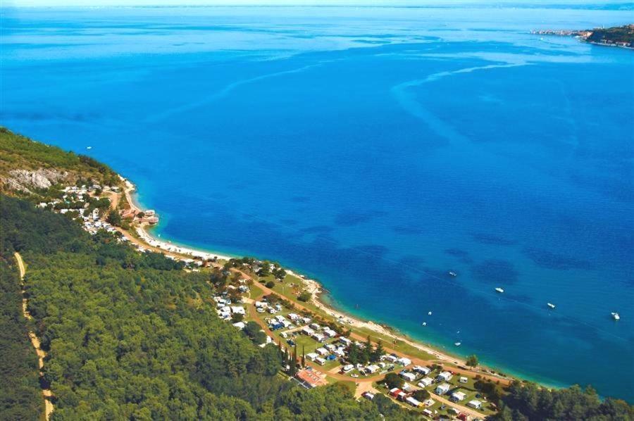 Villa Rustica Buje Zewnętrze zdjęcie